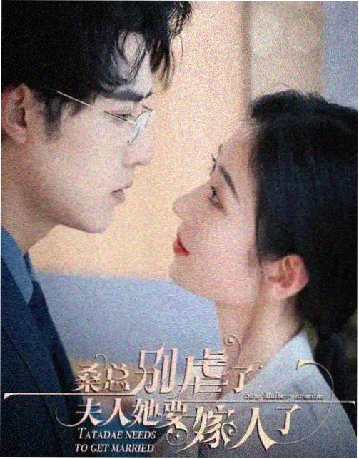 经纬之间 电视剧高清在线观看封面图